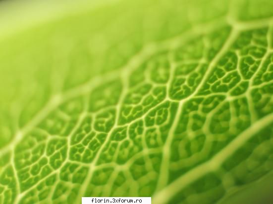 super peisaje - florinflorin - Wallpapers