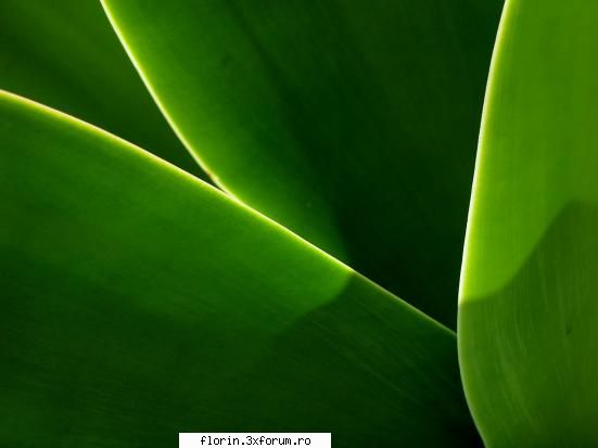 super peisaje - florinflorin - Wallpapers