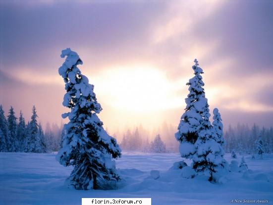 winter - florinflorin - Wallpapers