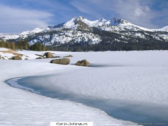 winter - florinflorin - Wallpapers